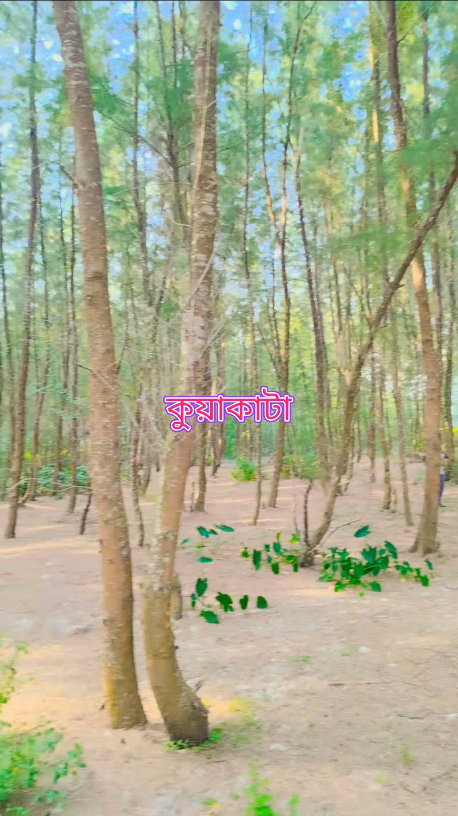 কুয়াকাটা