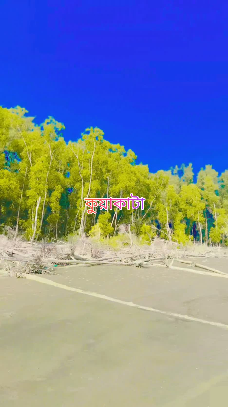 কুয়াকাটা