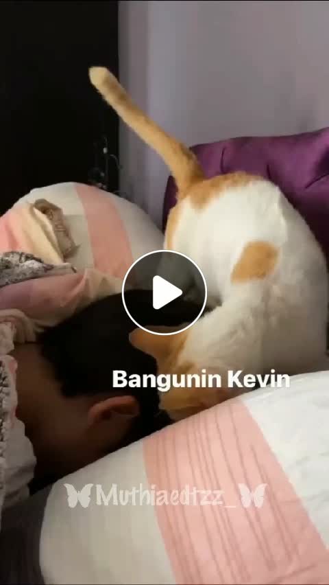 Kevin Bzozevski(@Kevin.chelsi) on Likee Mobile: Bangunin terus cing😆😂  #fypシ #kevinbzezovskitaroreh