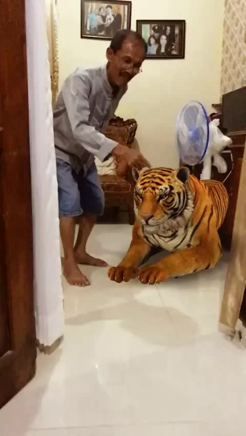 Polling-Togel-Angka-Jadi-2D Videos On Likee Mobile