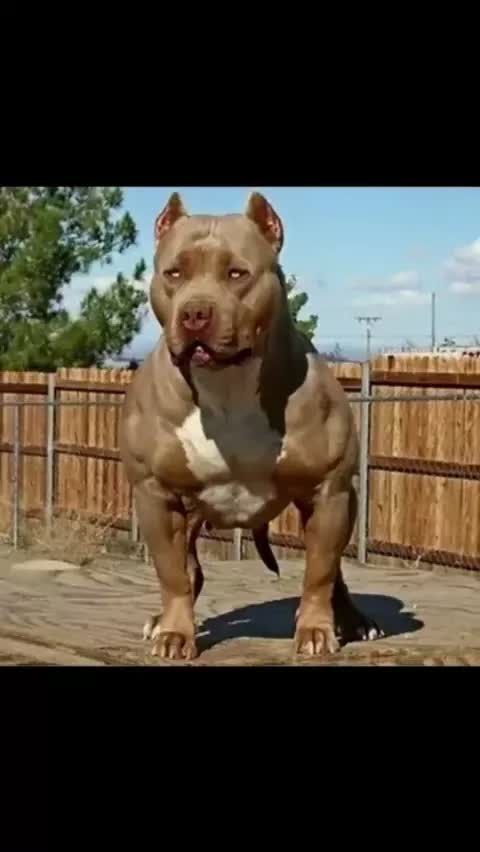kangal neeye whatsapp status