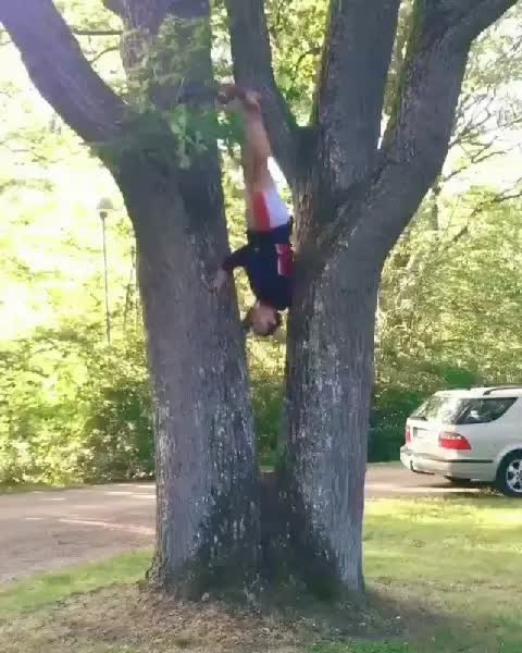 Master Sgp Rabu Bangjay Videos On Likee