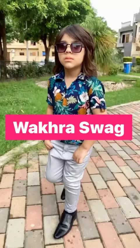 meaning of wakhra swag song