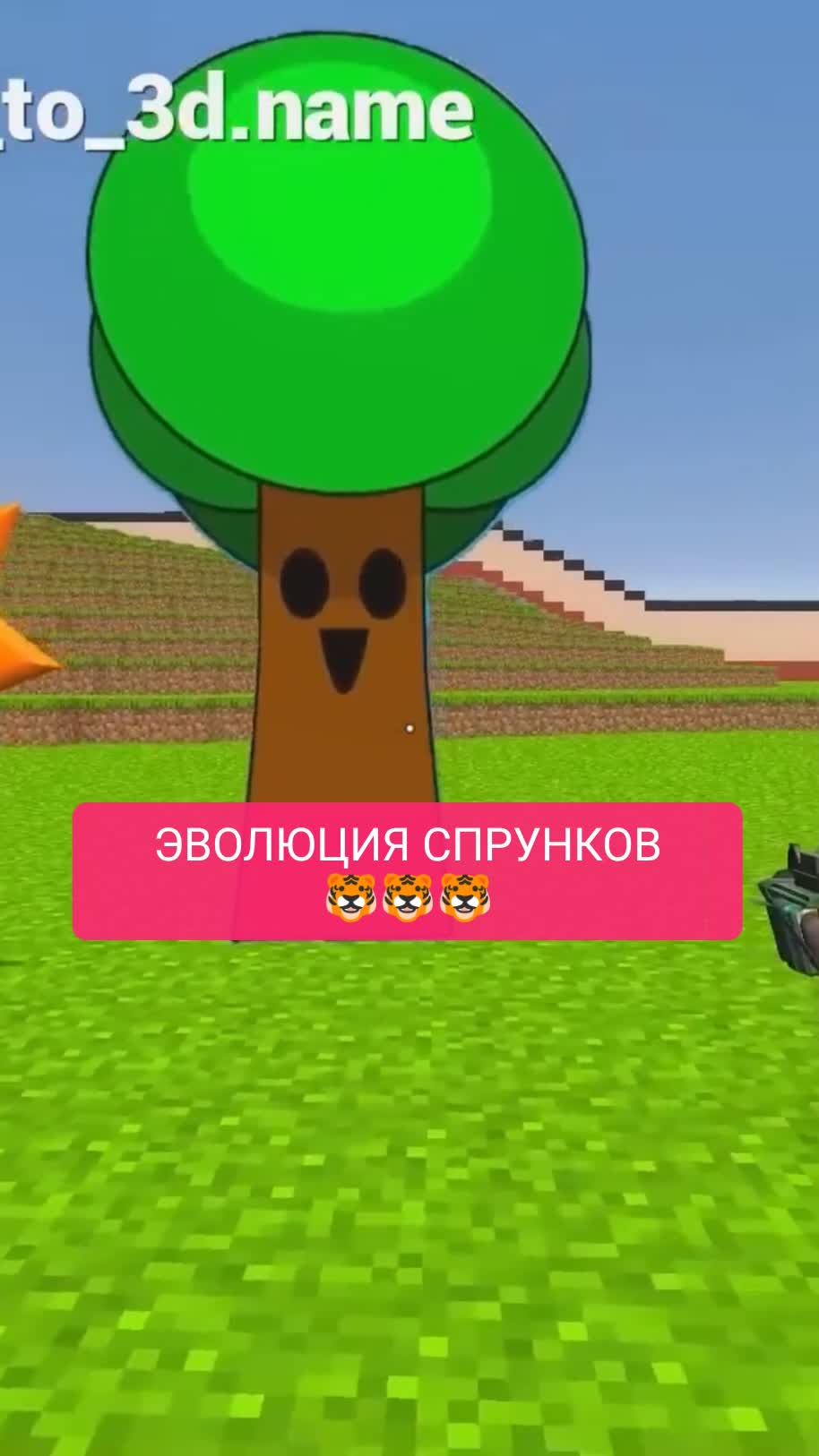 ЭВОЛЮЦИЯ СПРУНКОВ
🐯🐯🐯