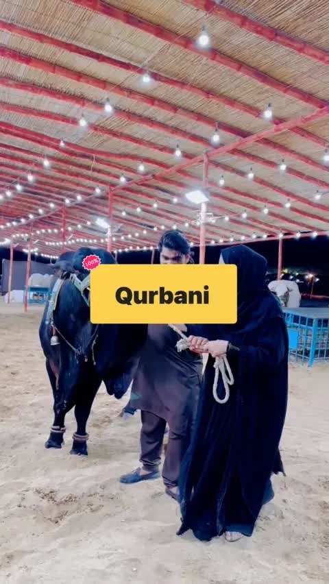 Qurbani