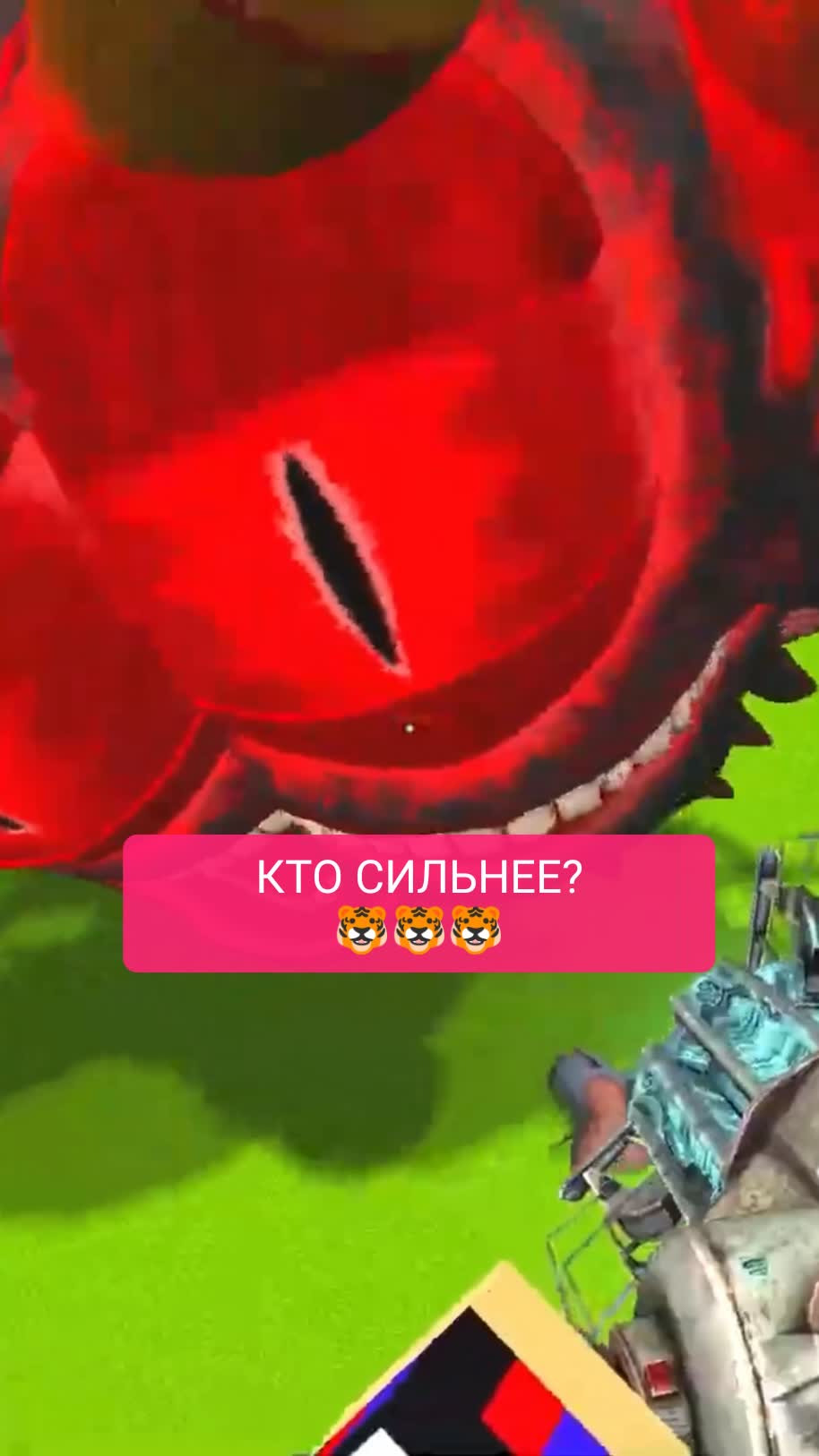 КТО СИЛЬНЕЕ?
🐯🐯🐯