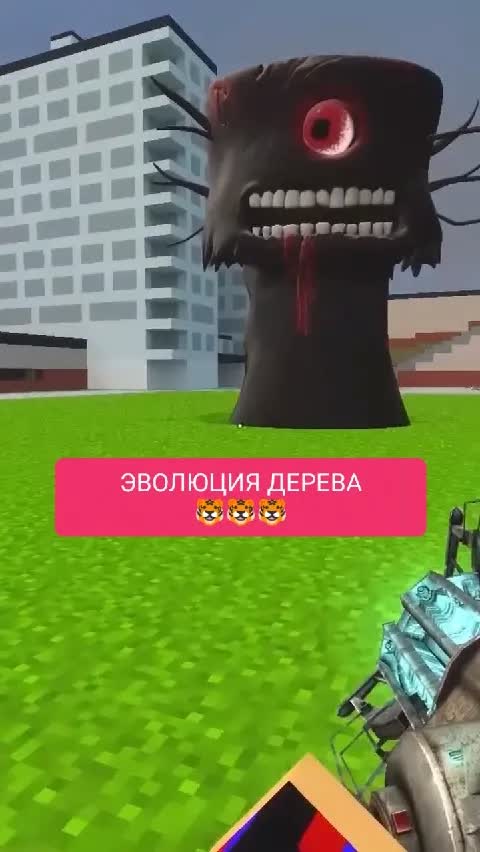ЭВОЛЮЦИЯ ДЕРЕВА
🐯🐯🐯