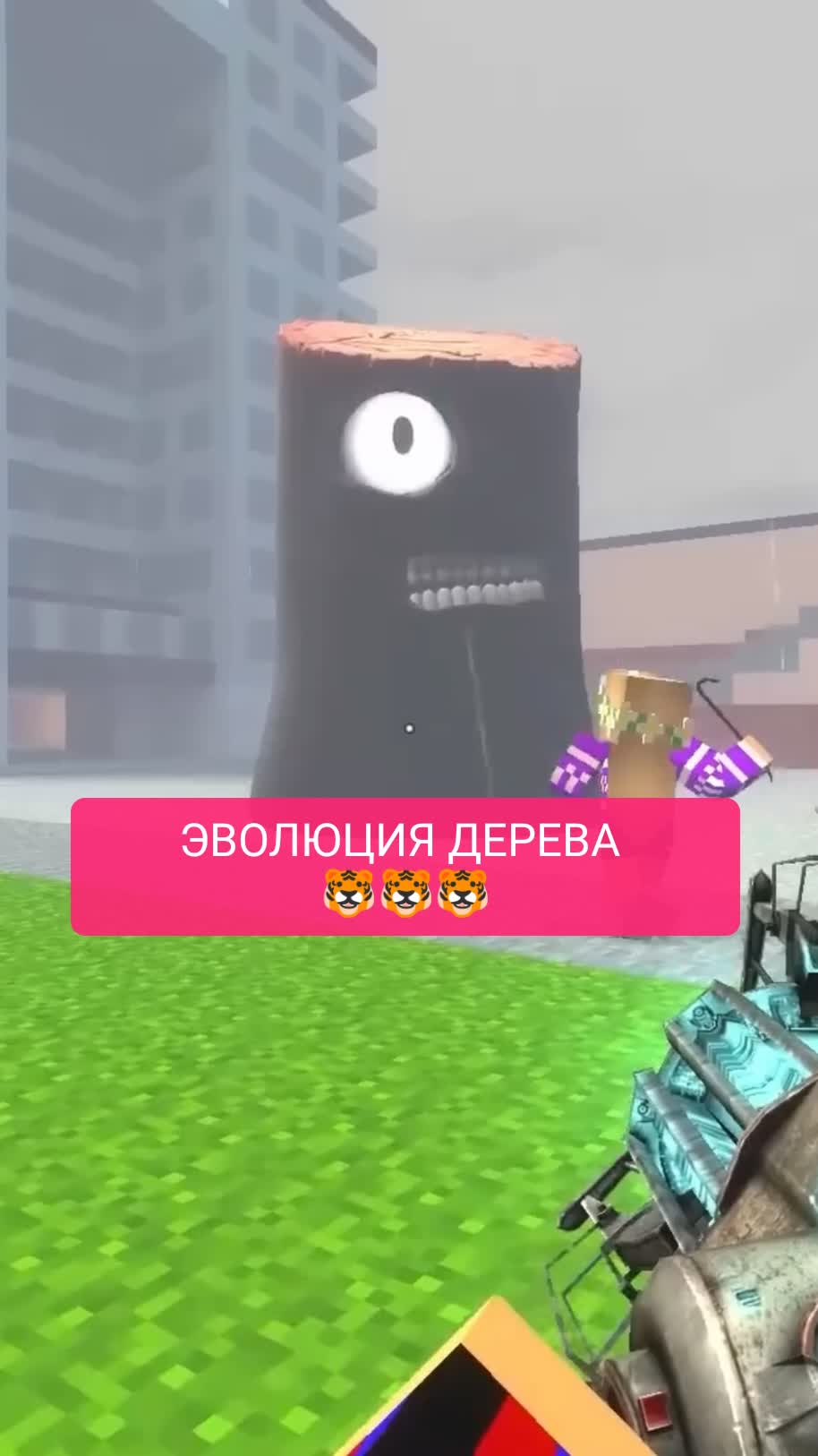 ЭВОЛЮЦИЯ ДЕРЕВА 
🐯🐯🐯