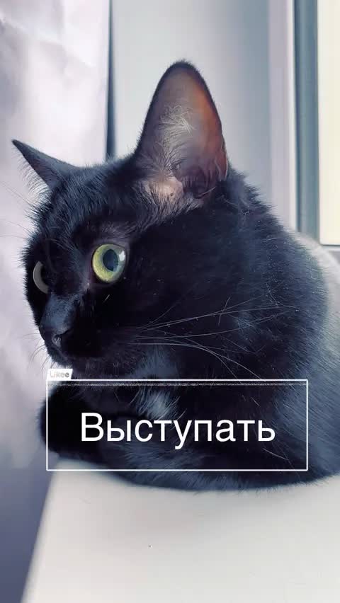Выступать