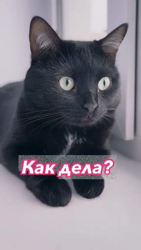 Как дела?