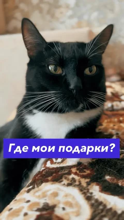 Где мои подарки?