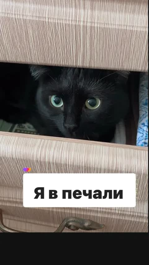 Я в печали