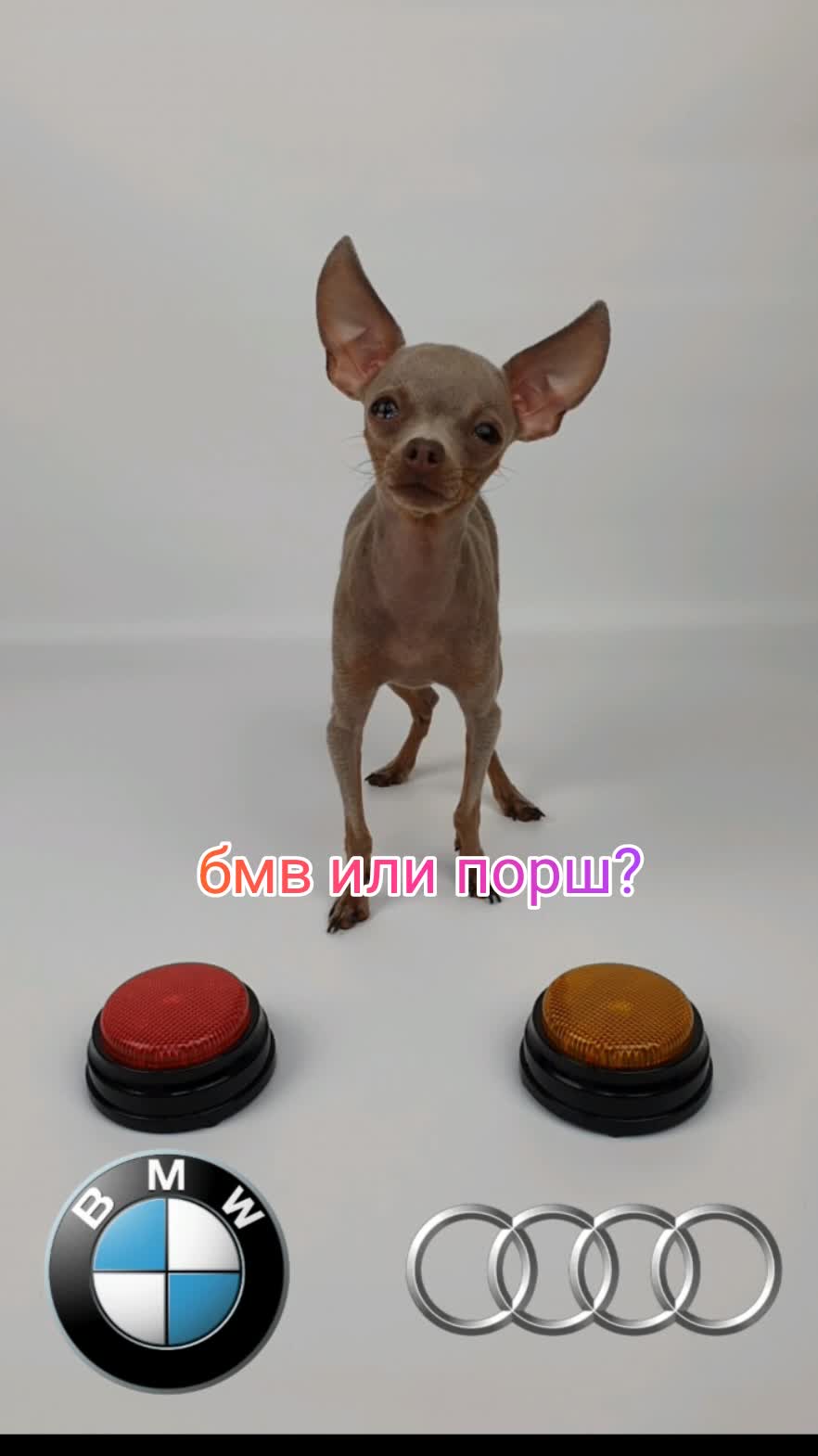 бмв или порш?