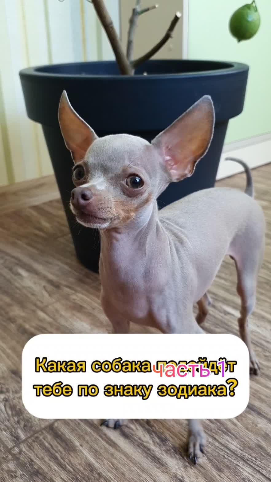 часть 1