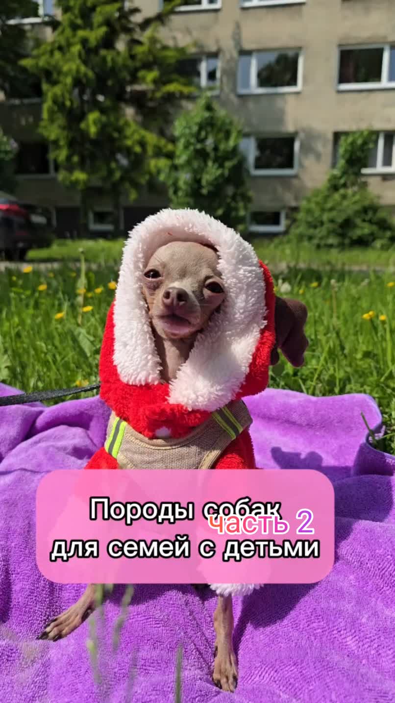 часть 2