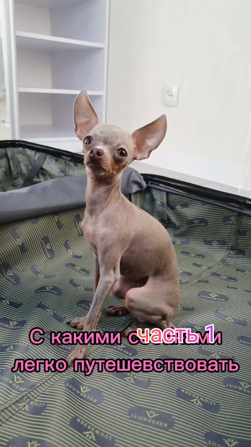 часть 1