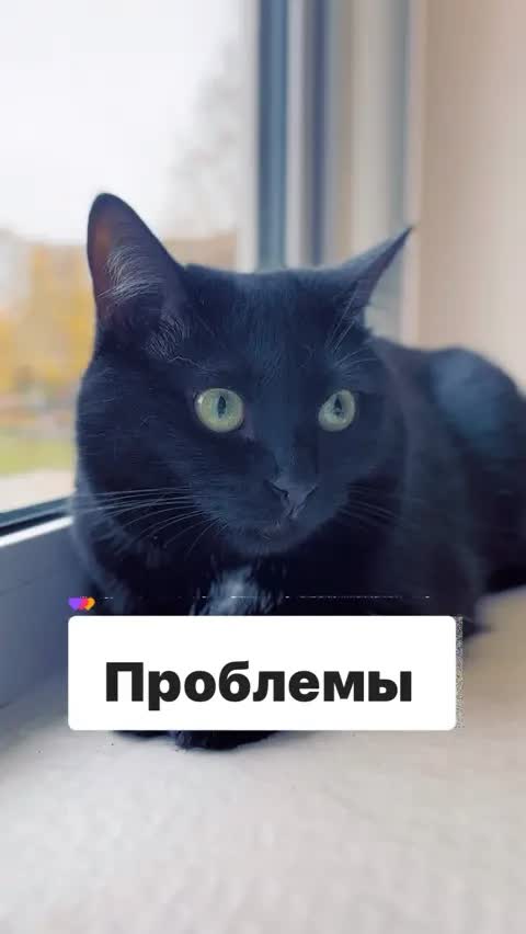 Проблемы