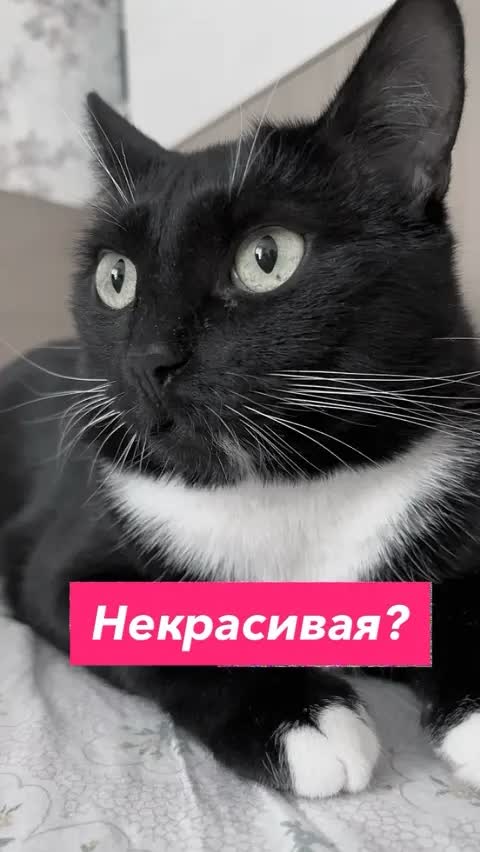 Некрасивая?