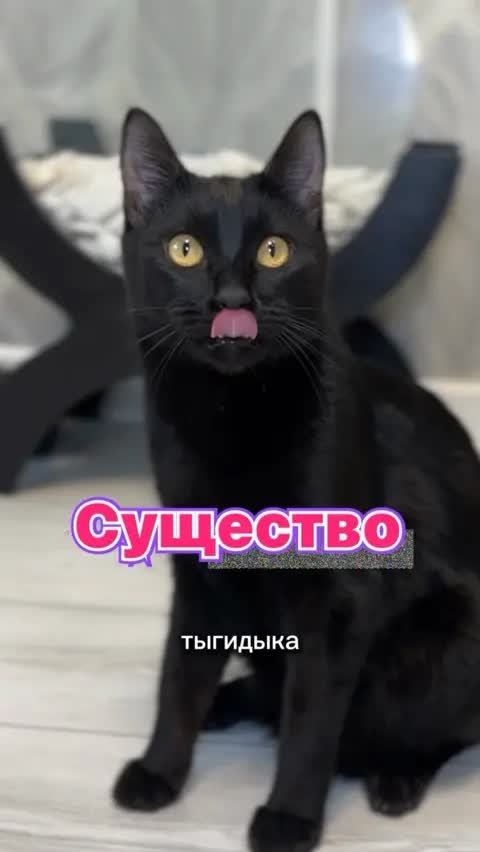 Существо