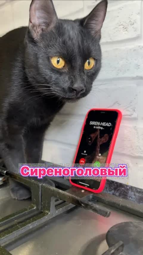 Сиреноголовый