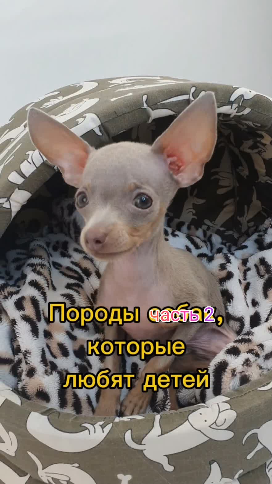 часть 2