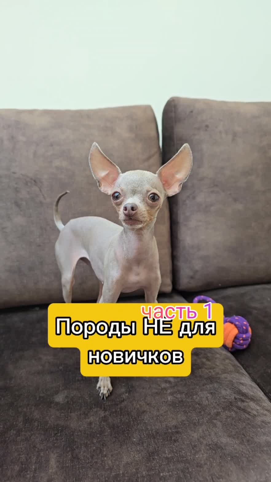 часть 1