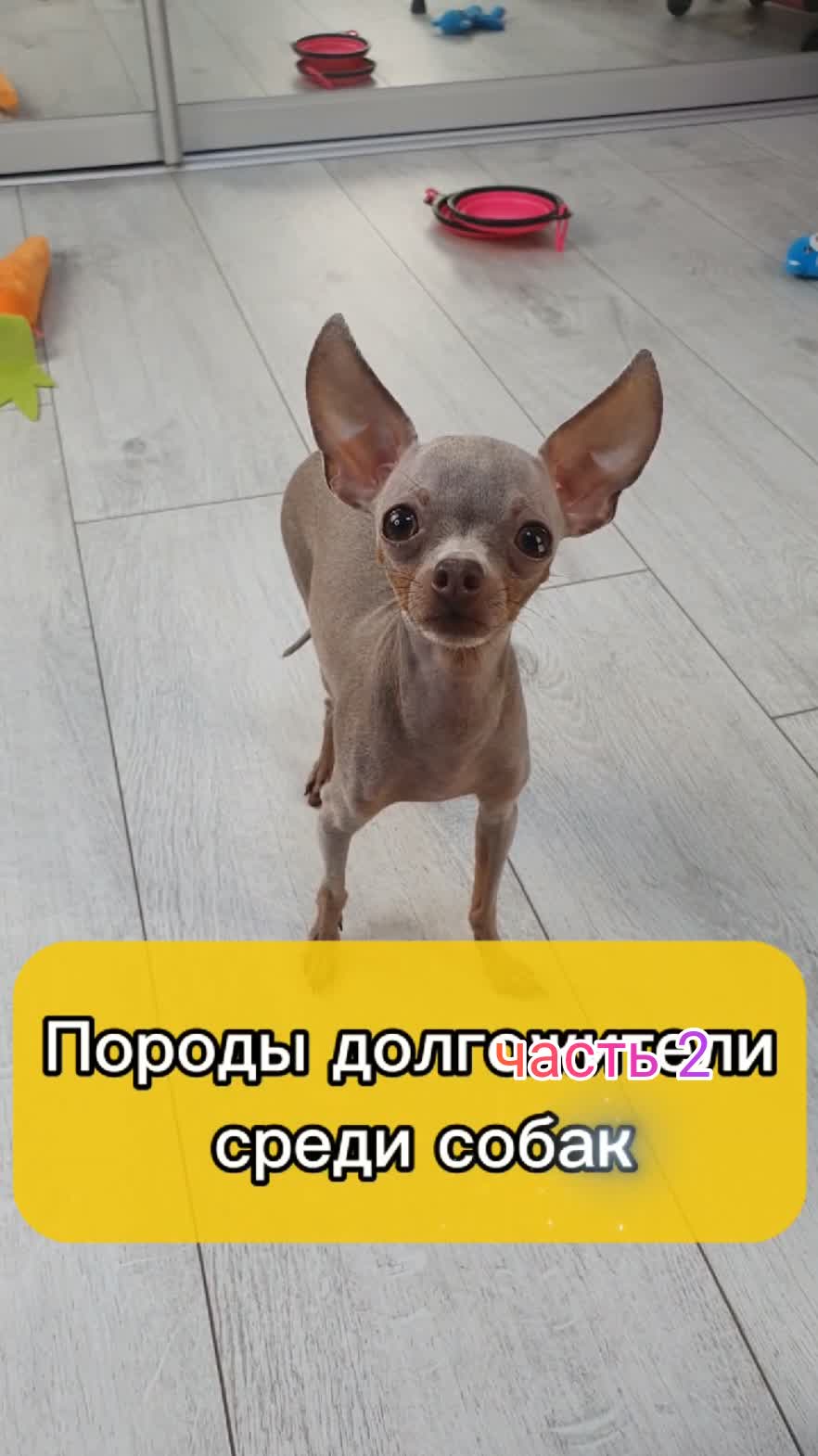 часть 2