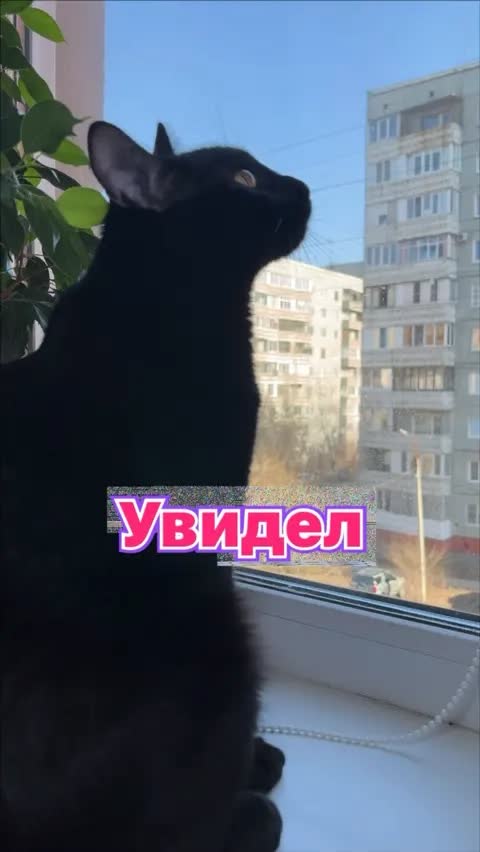 Увидел