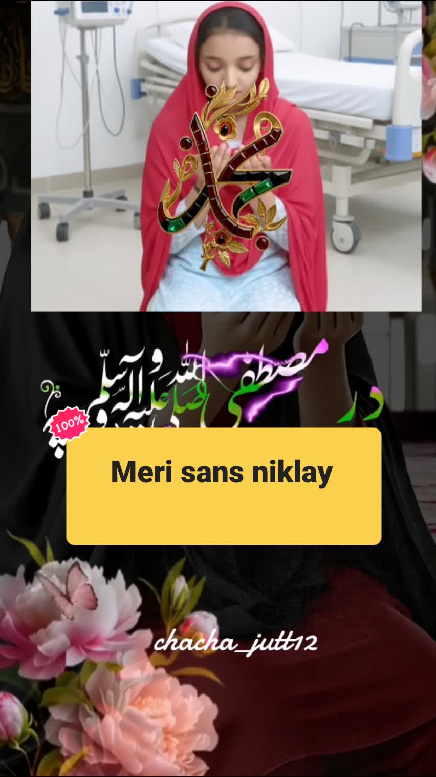 Meri sans niklay