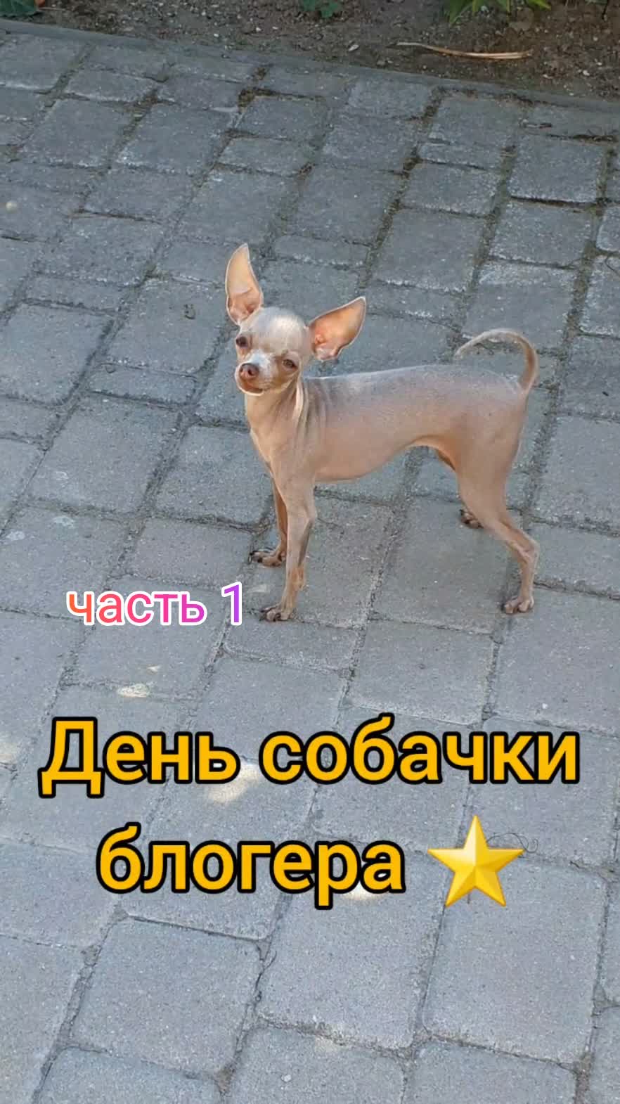 часть 1