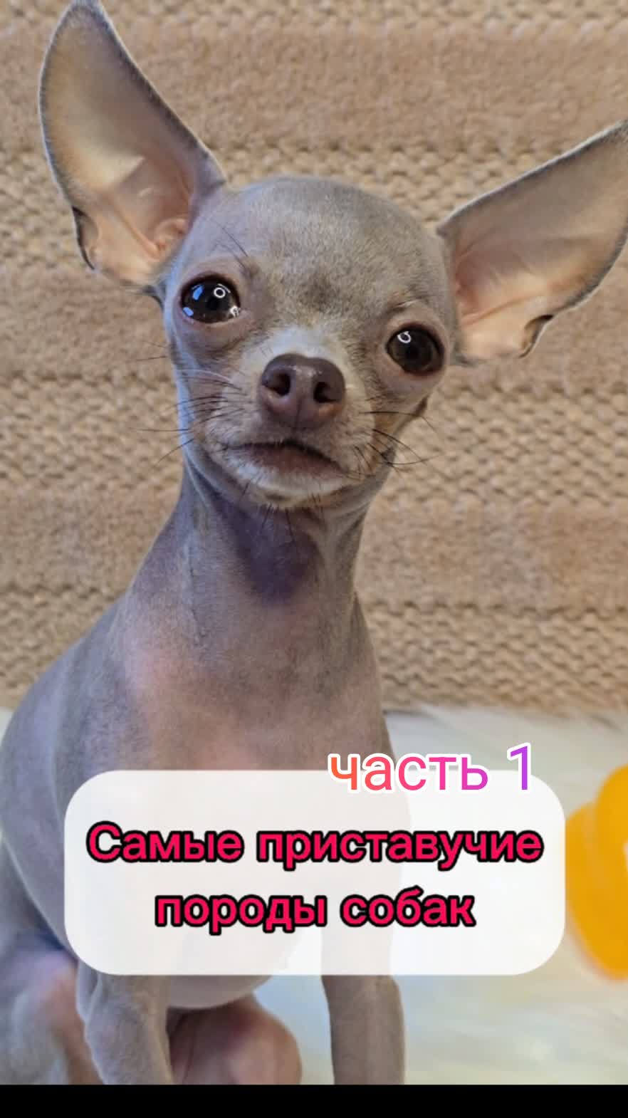 часть 1