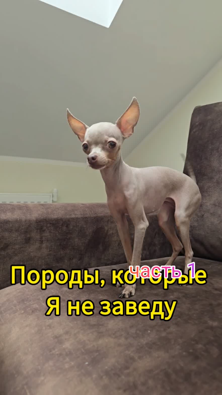 часть 1