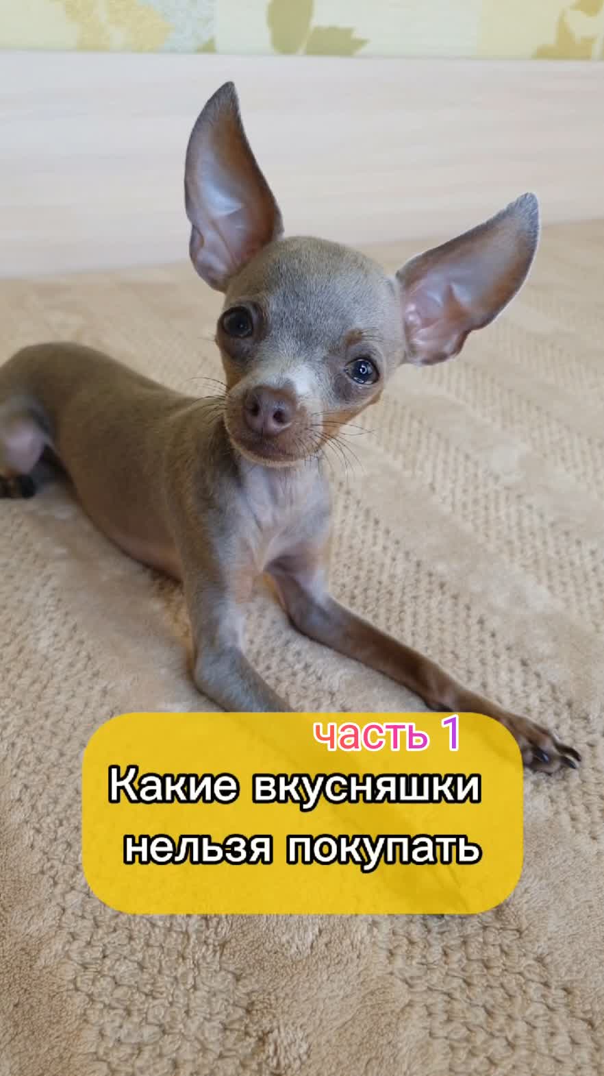 часть 1