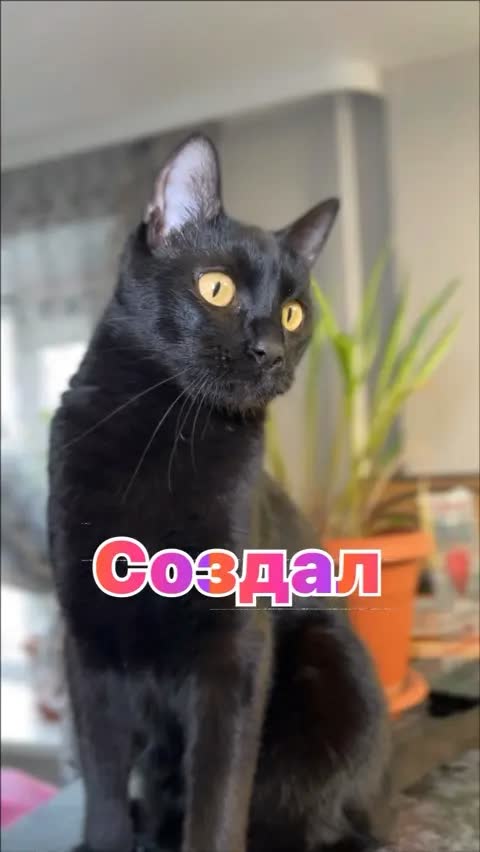 Создал