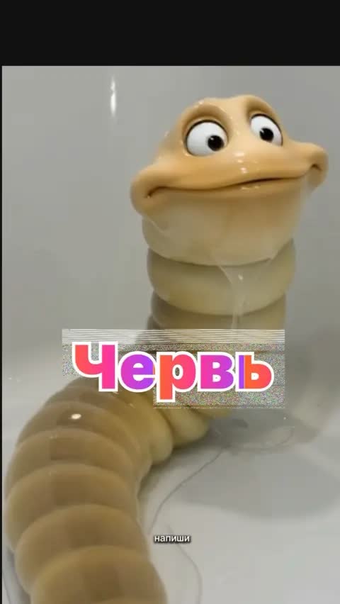 Червь
