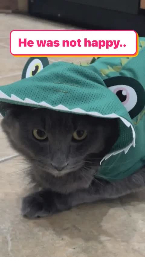 He was not happy..