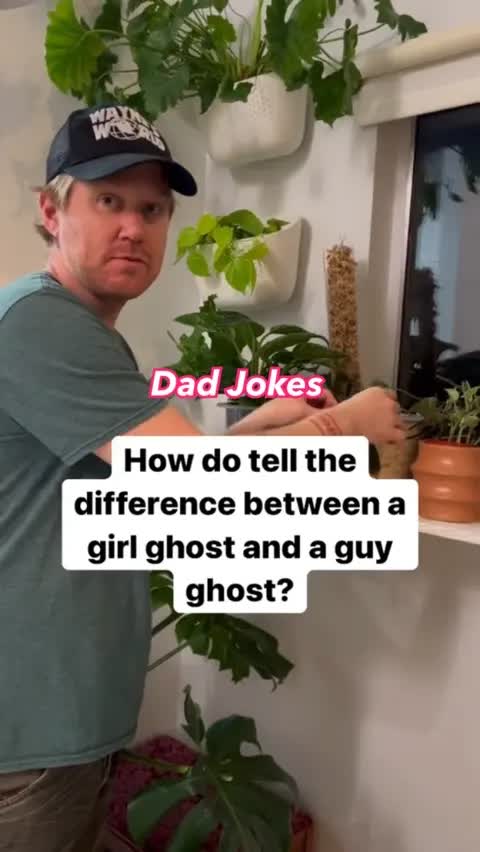 Dad Jokes 