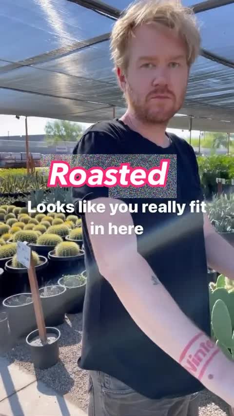 Roasted 